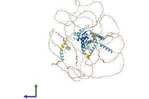 AlphaFold protein structure predicition of Human Recombinant E2F8 Protein, UniprotID A0AVK6