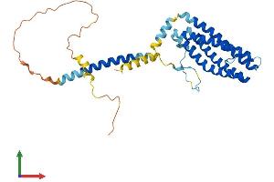 AlphaFold protein structure predicition of Mouse Recombinant Scamp2 Protein, UniprotID Q9ERN0 (SCAMP2 Protein (AA 1-329) (His tag))