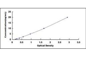 Typical standard curve (GPRC5A ELISA Kit)