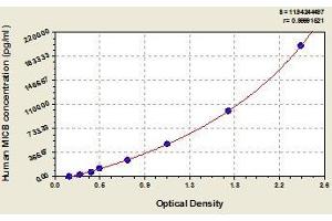 Typical standard curve (MICB ELISA Kit)