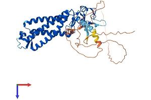 AlphaFold protein structure predicition of Human Recombinant ZDHHC11 Protein, UniprotID Q9H8X9