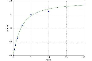 A typical standard curve (GJB2 ELISA Kit)