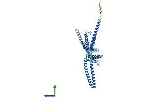 AlphaFold protein structure predicition of Human Recombinant KCNN4 Protein, UniprotID O15554