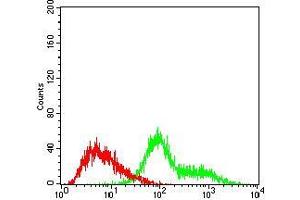 Flow cytometric analysis of Hela cells using TUBE1 mouse mAb (green) and negative control (red). (TUBE1 antibody  (AA 314-472))