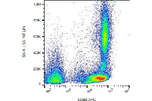Flow cytometry analysis (surface staining) of human peripheral blood cells with anti-CD46 (MEM-258) APC. (CD46 antibody  (APC))