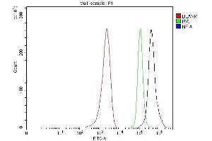 Flow Cytometry analysis of MCF-7 cells using anti-NFIA antibody (ABIN4886680). (NFIA antibody  (Middle Region))