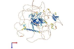 AlphaFold protein structure predicition of Human Recombinant REXO1 Protein, UniprotID Q8N1G1 (REXO1 Protein (AA 1-1221) (His tag))