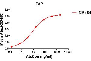 ELISA plate pre-coated by 1 μg/mL (100 μL/well) Human FAP protein, His tagged protein (ABIN7092782) can bind Rabbit anti-FAP monoclonal antibody(clone: DM154) in a linear range of 1-500 ng/mL. (FAP antibody  (AA 30-760))