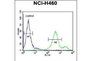 Flow cytometric analysis of NCI-H460 cells (right histogram) compared to a negative control cell (left histogram).