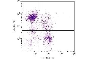 BALB/c mouse splenocytes were stained with Rat Anti-Mouse CD38-PE. (CD38 antibody  (PE))