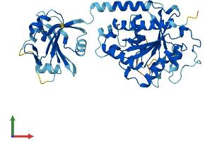 AlphaFold protein structure predicition of Mouse Recombinant Ifi44 Protein, UniprotID Q8BV66
