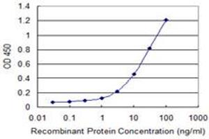 Detection limit for recombinant GST tagged IFNA13 is 0. (IFNA13 antibody  (AA 91-189))
