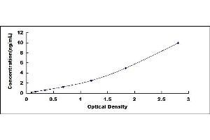 Typical standard curve (BMPER ELISA Kit)