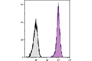 BALB/c mouse splenocytes were stained with Rat Anti-Mouse CD45-UNLB. (Mouse anti-Rat IgG2b Antibody (Cy5))