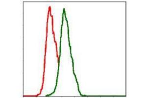 Flow cytometric analysis of Hela cells using ITGB1 mouse mAb (green) and negative control (red). (ITGB1 antibody)