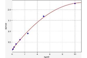 Villin 1 ELISA Kit