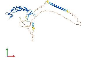 AlphaFold protein structure predicition of Human Recombinant EDA2R Protein, UniprotID Q9HAV5 (Ectodysplasin A2 Receptor Protein (EDA2R) (AA 1-297) (His tag))