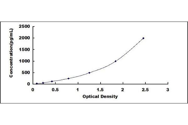 BMP4 ELISA Kit