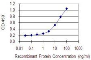 Detection limit for recombinant GST tagged AGAP1 is 0. (AGAP1 antibody  (AA 672-781))