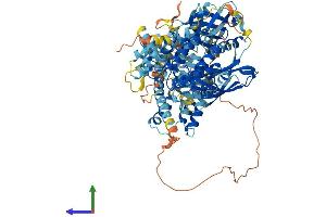 Protein Structure (PS) image for Active BCR-Related (ABR) (AA 1-859) protein (His tag) (ABIN7551845)