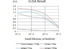 Black line: Control Antigen (100 ng),Purple line: Antigen (10 ng), Blue line: Antigen (50 ng), Red line:Antigen (100 ng) (FCRL3 antibody  (AA 18-153))