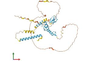 AlphaFold protein structure predicition of Human Recombinant ZNF367 Protein, UniprotID Q7RTV3 (ZNF367 Protein (AA 1-350) (His tag))