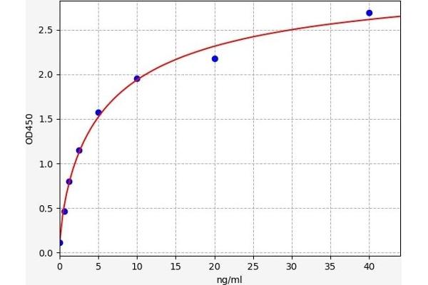 PLOD3 ELISA Kit