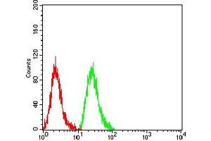 Flow cytometric analysis of Hela cells using MAP1LC3A mouse mAb (green) and negative control (red). (MAP1LC3A antibody  (AA 1-121))