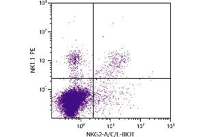 C57BL/6 mouse splenocytes were stained with Rat Anti-Mouse NKG2-A/C/E-BIOT and Mouse Anti-Mouse NK1. (NKG2A/C/E antibody)