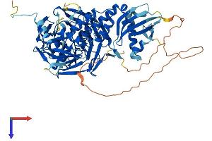 Protein Structure (PS) image for Influenza Virus NS1A Binding Protein (IVNS1ABP) (AA 1-642) protein (His tag) (ABIN7564843)