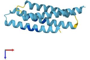 AlphaFold protein structure predicition of Mouse Recombinant Tmem80 Protein, UniprotID Q9D3H0 (TMEM80 Protein (AA 1-123) (His tag))