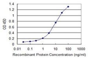 Detection limit for recombinant GST tagged PLA2G16 is 0. (PLA2G16 antibody  (AA 1-162))