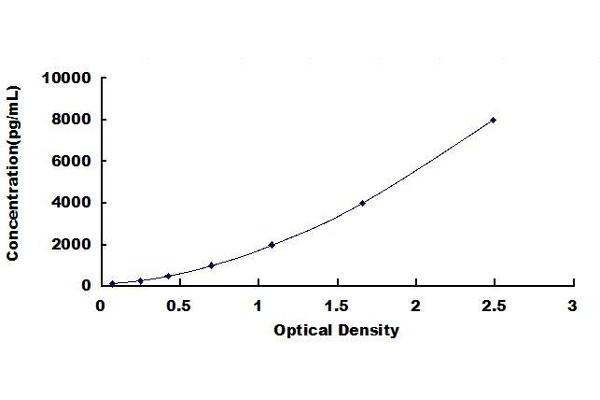 BSP ELISA Kit