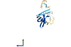 AlphaFold protein structure predicition of Mouse Recombinant Cbx7 Protein, UniprotID Q8VDS3