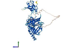 AlphaFold protein structure predicition of Mouse Recombinant Rpa1 Protein, UniprotID Q8VEE4 (RPA1 Protein (AA 1-623) (His tag))