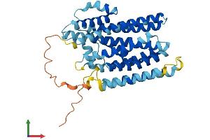 AlphaFold protein structure predicition of Human Recombinant XKR8 Protein, UniprotID Q9H6D3