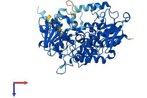 AlphaFold protein structure predicition of Human Recombinant FMO6P Protein, UniprotID O60774 (FMO6P Protein (AA 1-539) (His tag))