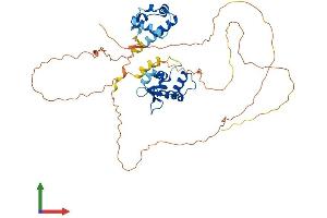 Protein Structure (PS) image for Friend Leukemia Virus Integration 1 (FLI1) (AA 1-452) protein (His tag) (ABIN7547726)