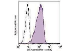 Flow Cytometry (FACS) image for anti-VEGF Receptor 2 (VEGFR2) antibody (ABIN2664545) (VEGFR2/CD309 antibody)