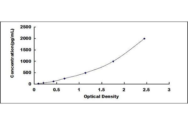 REG3A ELISA Kit