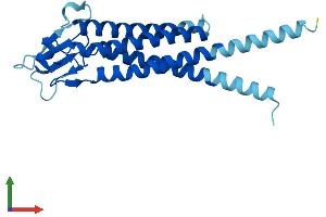 AlphaFold protein structure predicition of Mouse Recombinant Lhfpl3 Protein, UniprotID Q9CTN8 (LHFPL3 Protein (AA 1-222) (His tag))