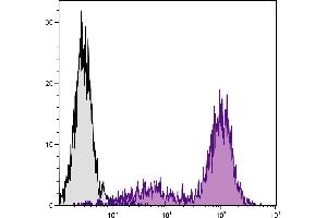 C57BL/6 mouse cytotoxic T lymphocyte cell line CTLL-2 was stained with Rat Anti-Mouse CD25-SPRD. (CD25 antibody  (SPRD))