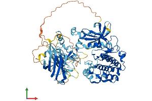 Protein Structure (PS) image for Protein Kinase C, eta (PRKCH) (AA 1-683) protein (His tag) (ABIN7554385)