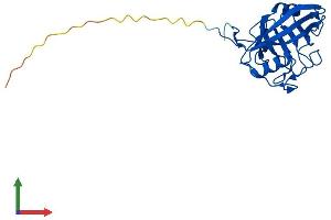 AlphaFold protein structure predicition of Human Recombinant PPIC Protein, UniprotID P45877 (PPIC Protein (AA 1-212) (His tag))