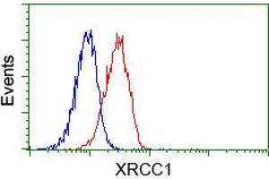 Flow cytometric analysis of Jurkat cells, using anti-XRCC1 antibody (ABIN2453795), (Red) compared to a nonspecific negative control antibody (TA50011) (Blue). (XRCC1 antibody)