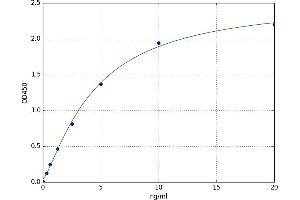 Protein Kinase C (PKC) ELISA Kit
