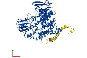 AlphaFold protein structure predicition of Human Recombinant FMO4 Protein, UniprotID P31512 (FMO4 Protein (AA 1-558) (His tag))