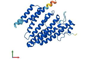 AlphaFold protein structure predicition of Mouse Recombinant Icmt Protein, UniprotID Q9EQK7 (ICMT Protein (AA 1-283) (His tag))