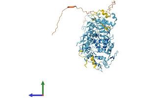 AlphaFold protein structure predicition of Human Recombinant ZNF585A Protein, UniprotID Q6P3V2 (ZNF585A Protein (AA 1-769) (His tag))