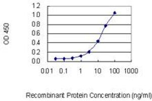 Detection limit for recombinant GST tagged TCOF1 is 0. (TCOF1 antibody  (AA 2-82))